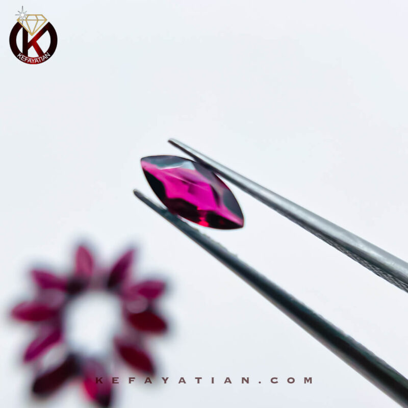 گارنت مارکیز